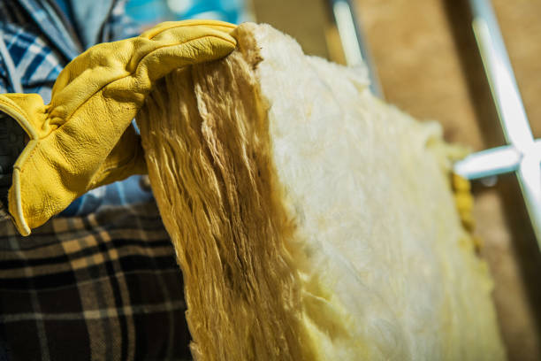 Best Specialty Insulation in Poquoson, VA