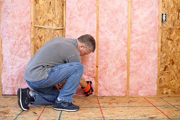 Best Residential Insulation in Poquoson, VA
